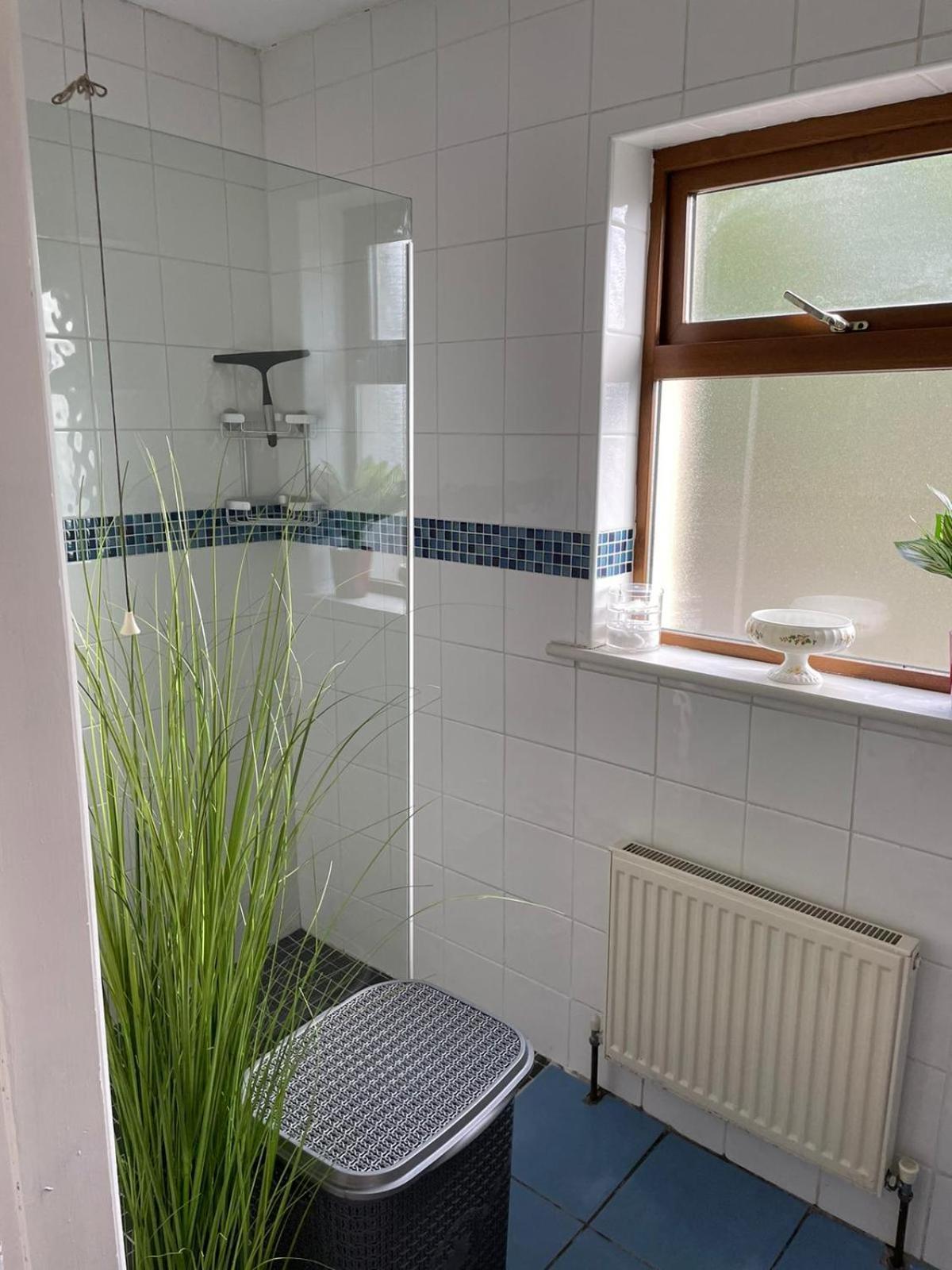 Milltown Apartment Galway Kültér fotó